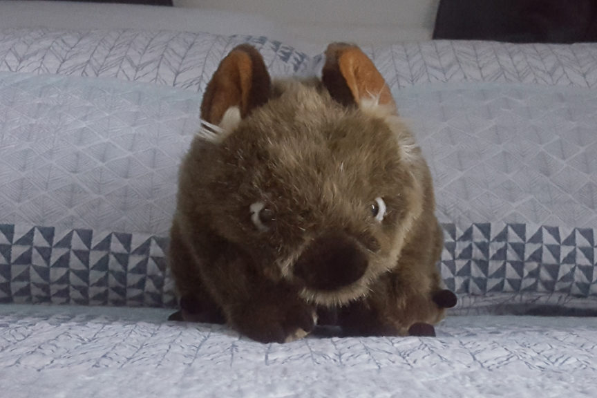 New Wally the Wombat