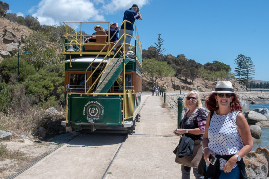 Victor Harbour horse drawn tram